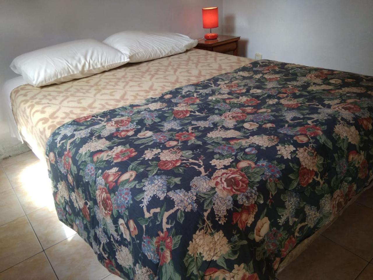 La Calaguala Otel Punta del Este Dış mekan fotoğraf