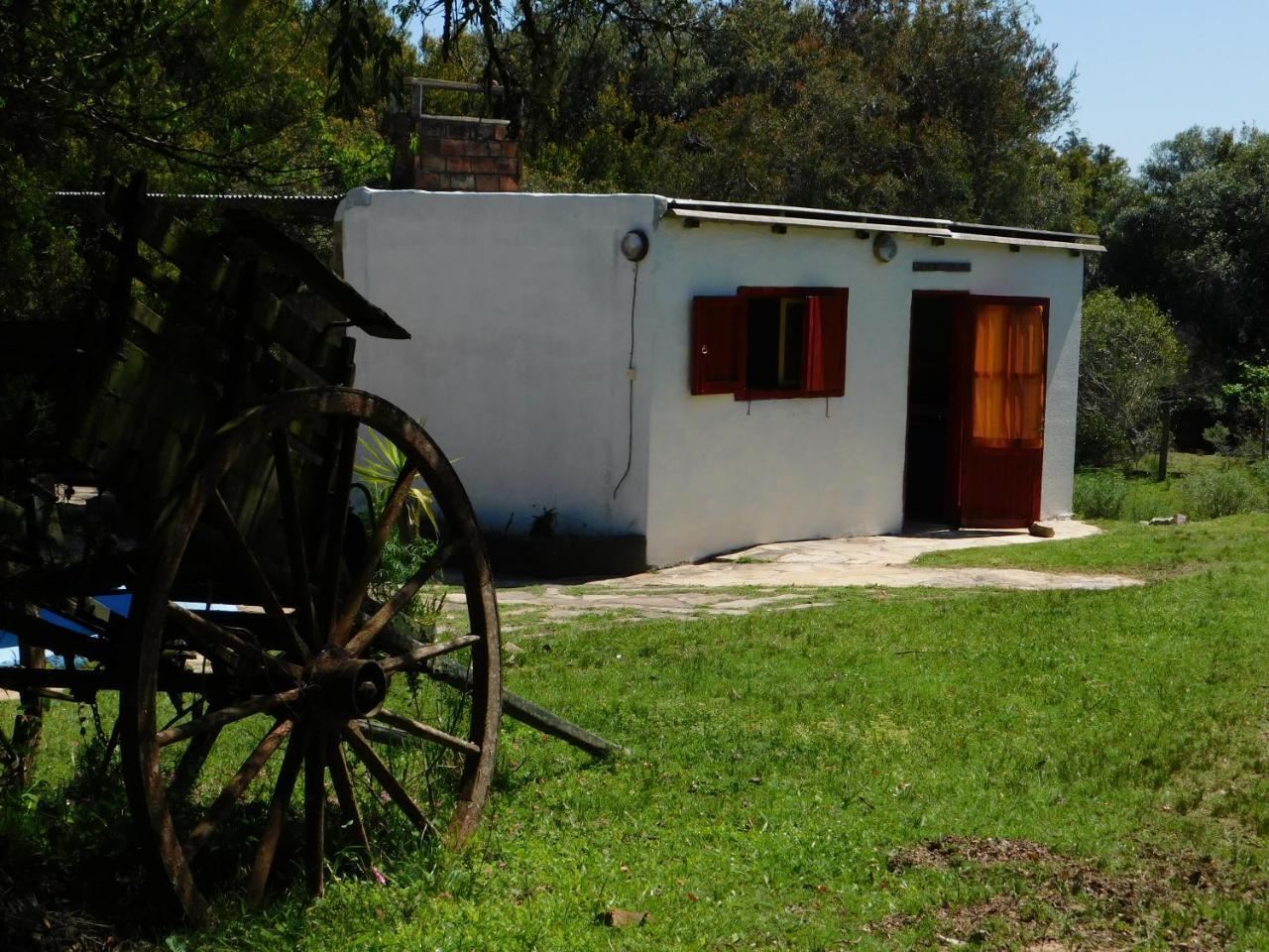 La Calaguala Otel Punta del Este Dış mekan fotoğraf
